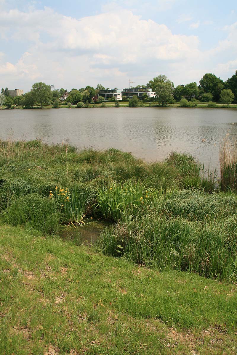 Der Aasee in Münster, Nordrhein-Westfalen