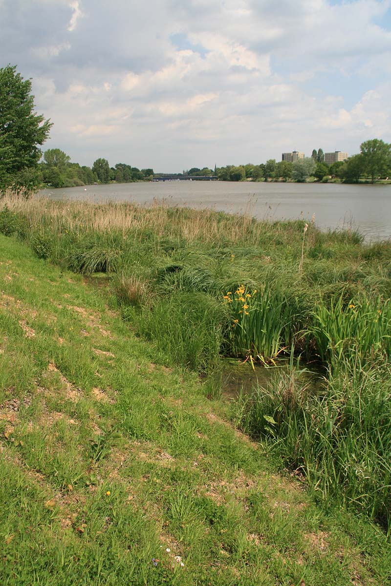 Der Aasee in Münster, Nordrhein-Westfalen