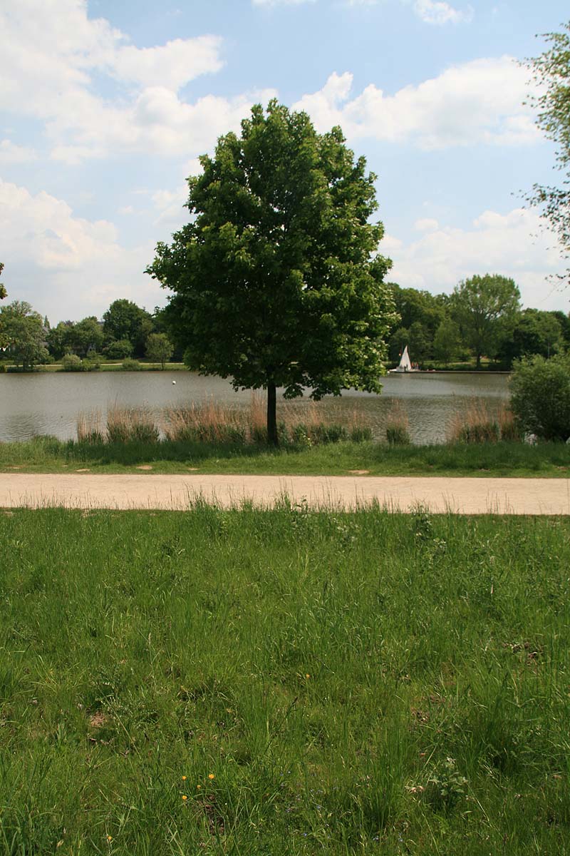 Der Aasee in Münster, Nordrhein-Westfalen