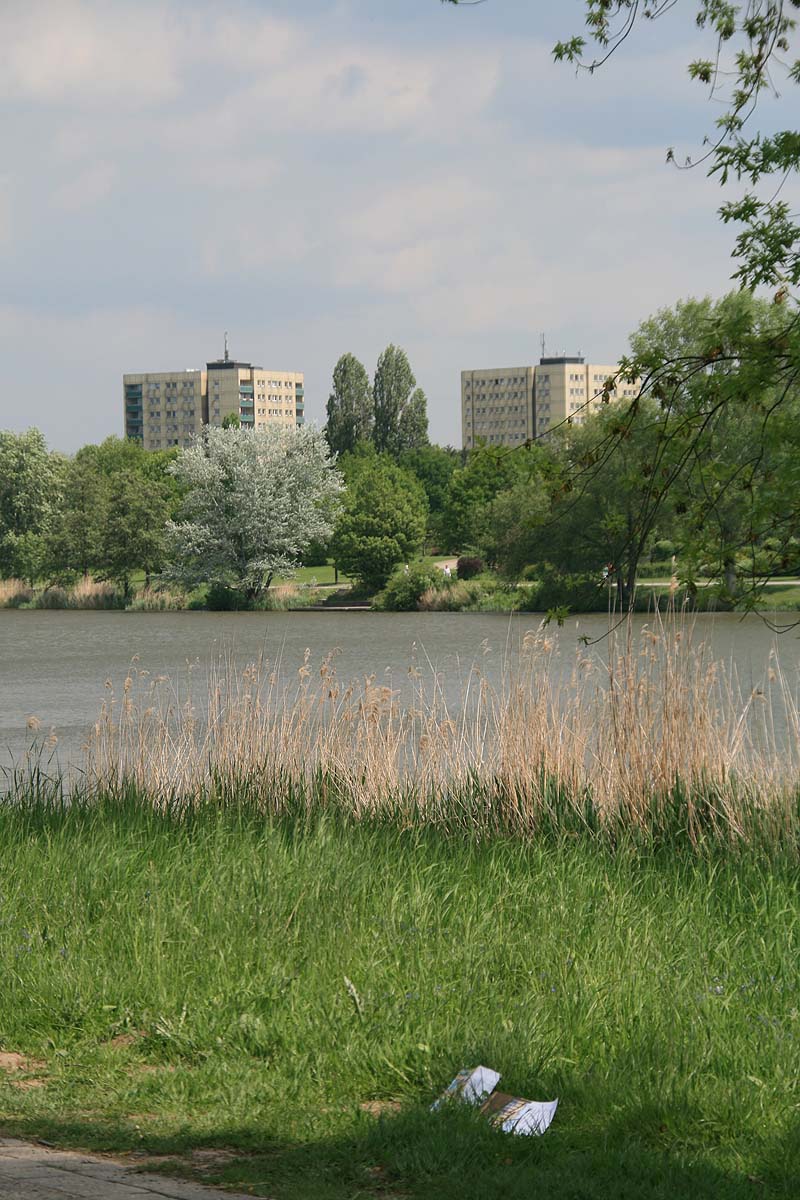 Der Aasee in Münster, Nordrhein-Westfalen