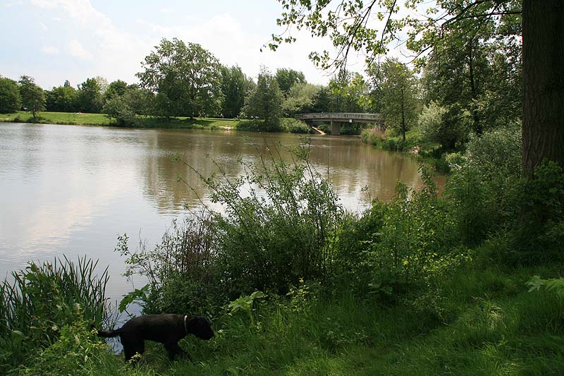 Der Aasee in Münster, Nordrhein-Westfalen