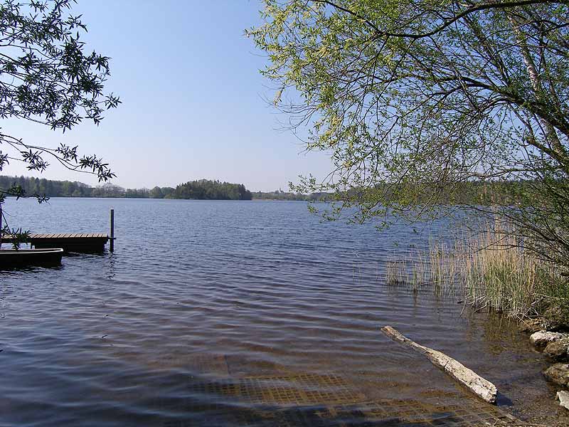 Abtsdorfer See bei Saaldorf-Surheim (Bayern)