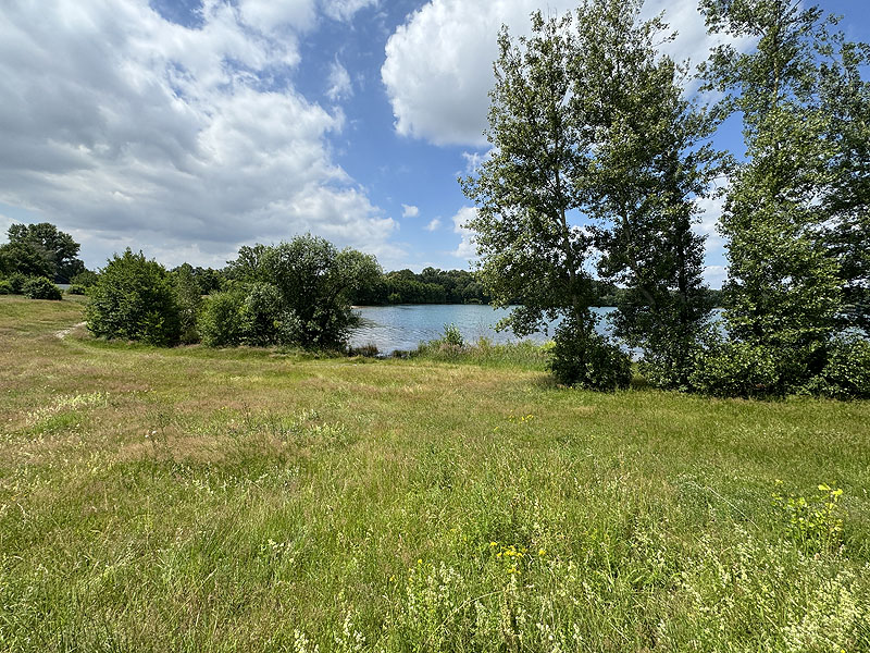 Der Badesee Albrechtshainer See in Naunhof