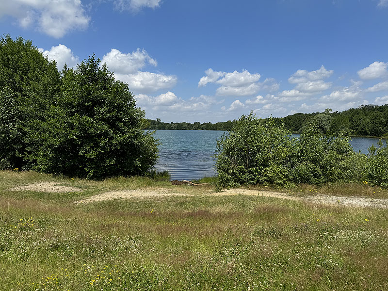 Der Badesee Albrechtshainer See in Naunhof