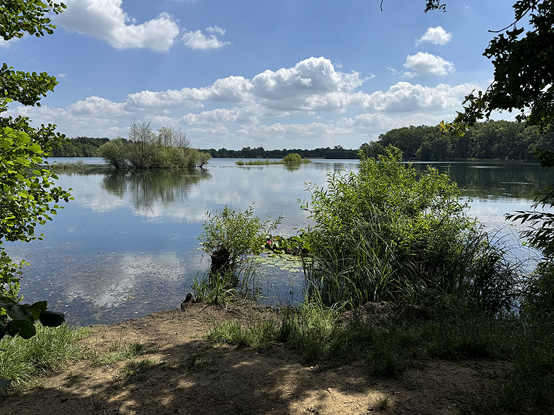 Der Badesee Albrechtshainer See in Naunhof