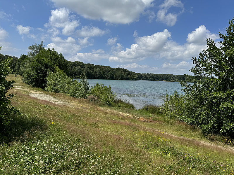 Der Badesee Albrechtshainer See in Naunhof