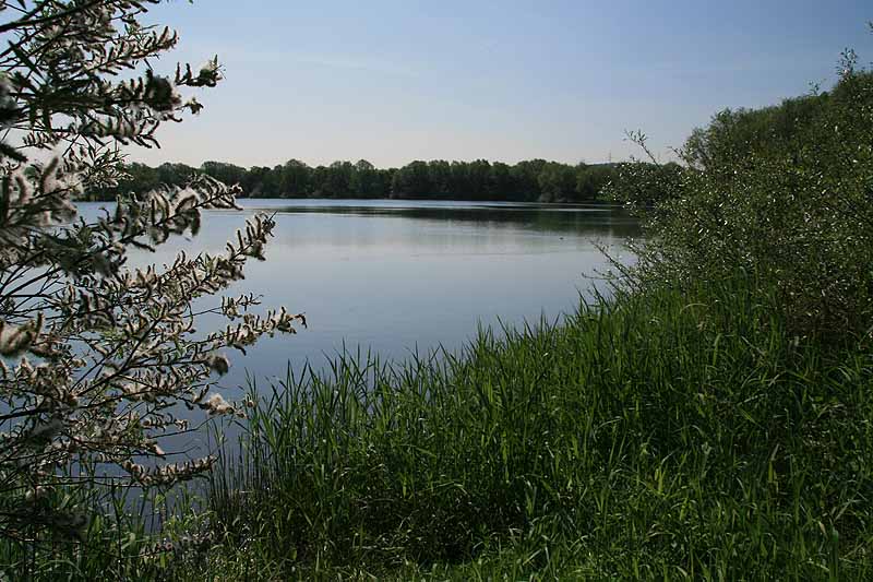 Allner See (Honnef, Nordrhein-Westfalen)
