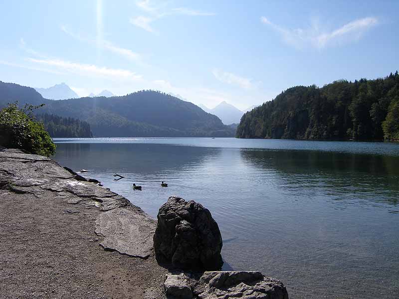 Alpsee und Schwansee (Bayern)