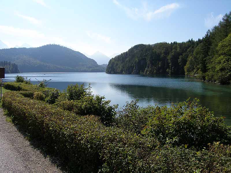 Alpsee und Schwansee (Bayern)