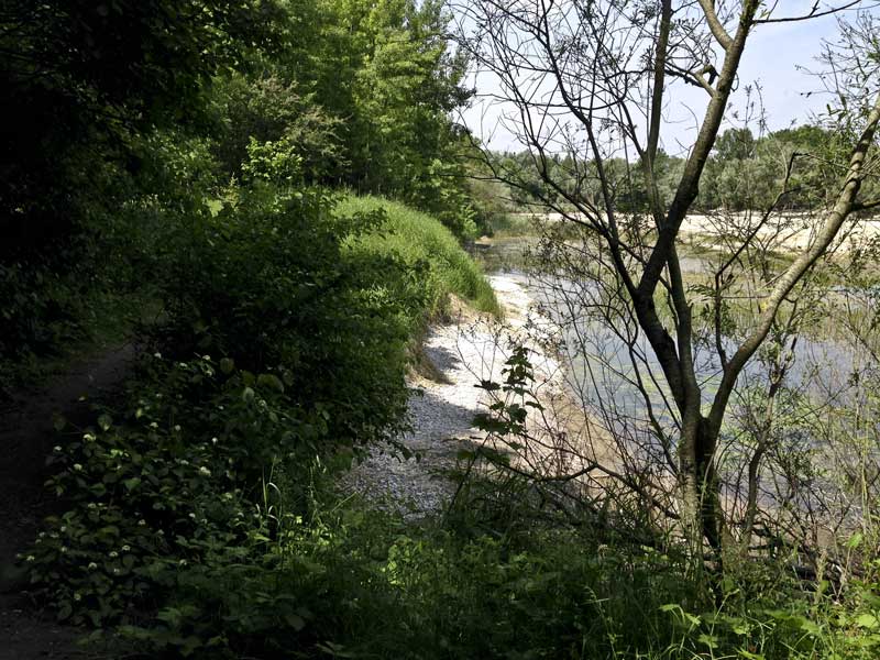 Alter Echinger See - Baggersee am Hart (Eching, Bayern)