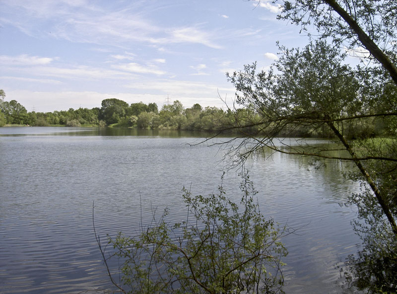 Alter Echinger See - Baggersee am Hart (Eching, Bayern)