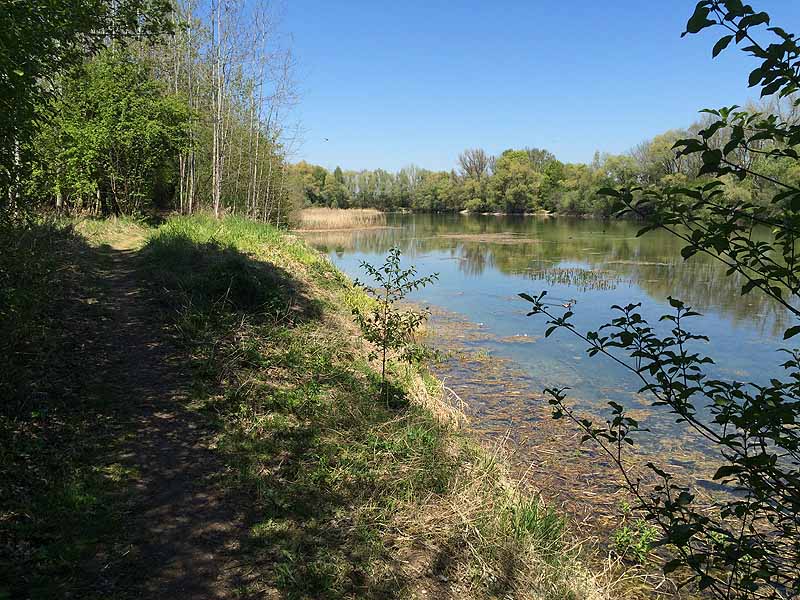 Alter Echinger See - Baggersee am Hart (Eching, Bayern)