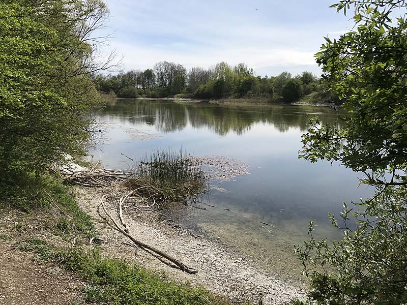 Alter Echinger See - Baggersee am Hart (Eching, Bayern)