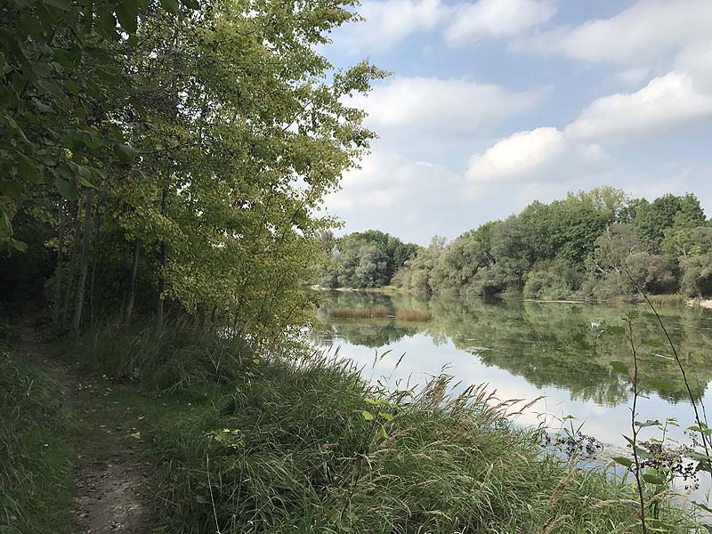 Alter Echinger See - Baggersee am Hart (Eching, Bayern)