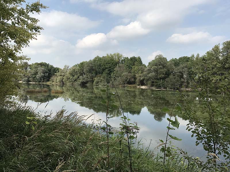 Alter Echinger See - Baggersee am Hart (Eching, Bayern)