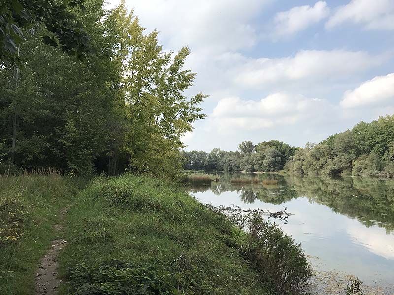 Alter Echinger See - Baggersee am Hart (Eching, Bayern)