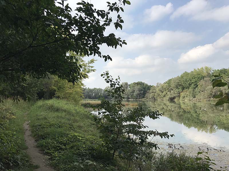 Alter Echinger See - Baggersee am Hart (Eching, Bayern)