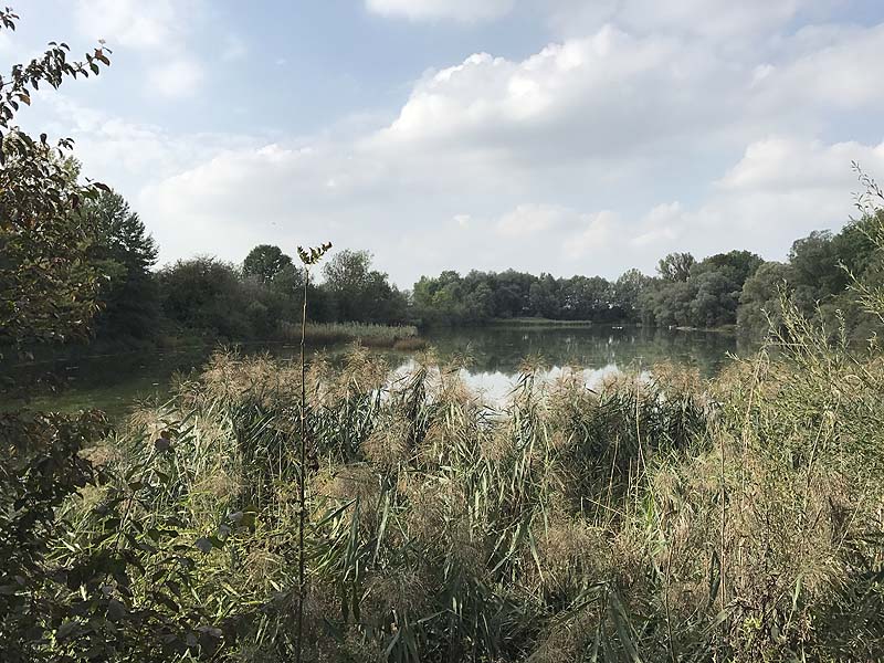 Alter Echinger See - Baggersee am Hart (Eching, Bayern)