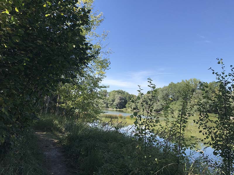 Alter Echinger See - Baggersee am Hart (Eching, Bayern)