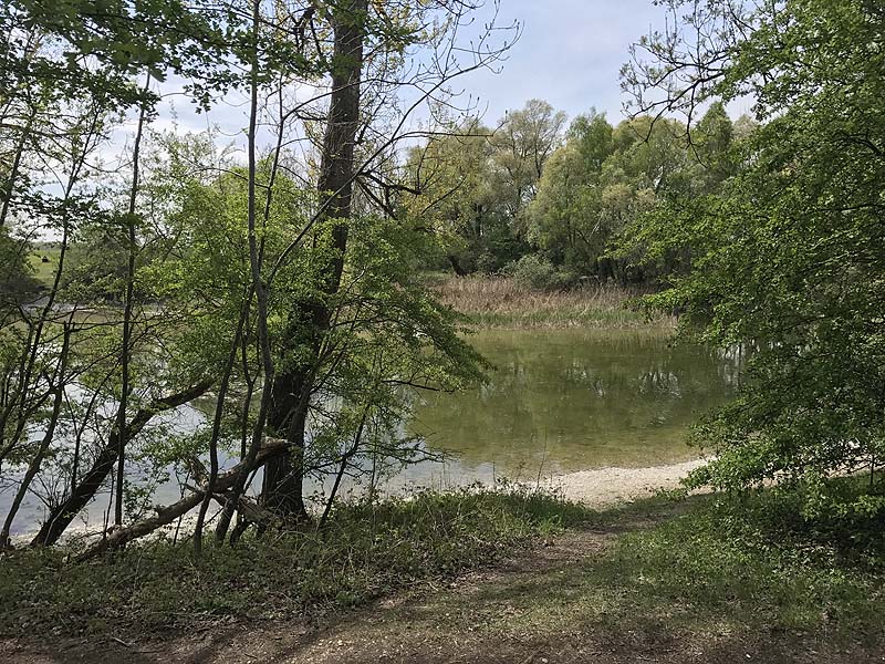 Alter Echinger See - Baggersee am Hart (Eching, Bayern)