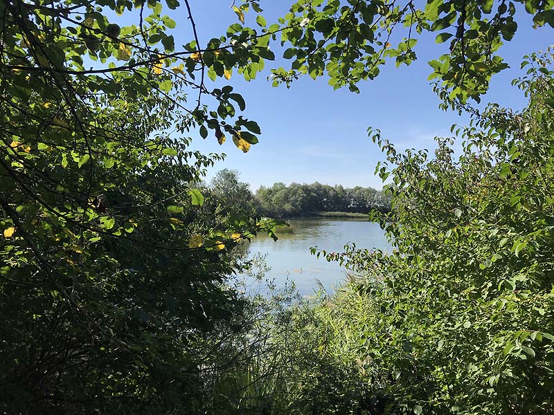 Alter Echinger See - Baggersee am Hart (Eching, Bayern)