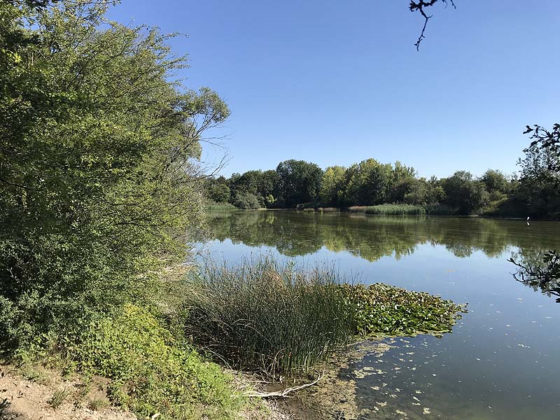 Alter Echinger See - Baggersee am Hart (Eching, Bayern)