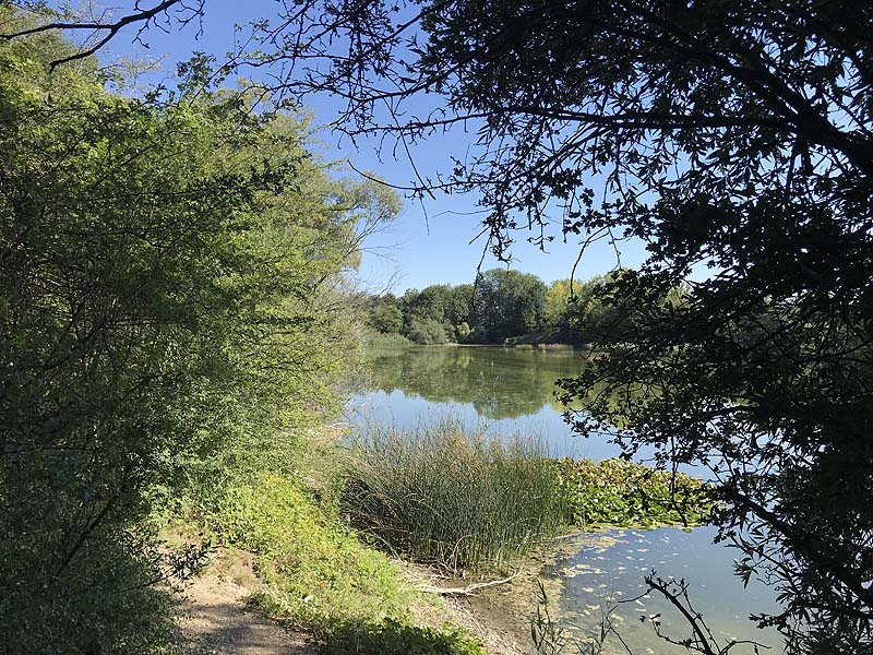 Alter Echinger See - Baggersee am Hart (Eching, Bayern)