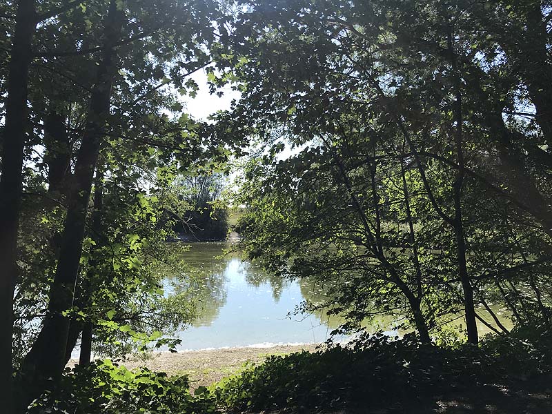 Alter Echinger See - Baggersee am Hart (Eching, Bayern)