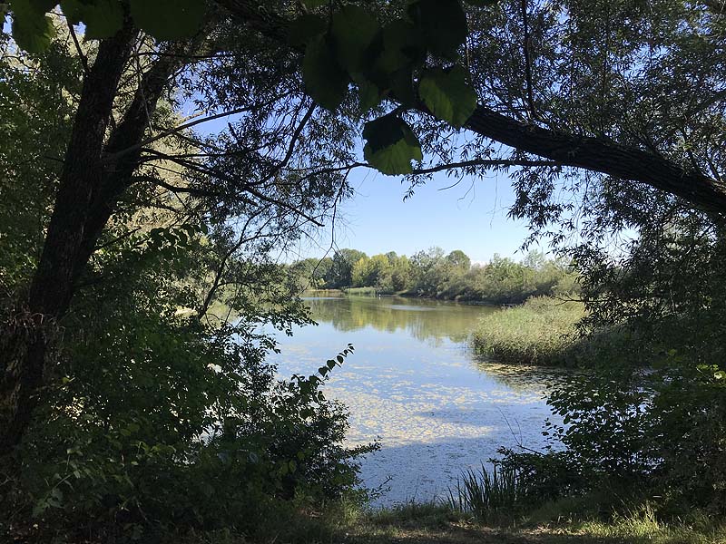 Alter Echinger See - Baggersee am Hart (Eching, Bayern)