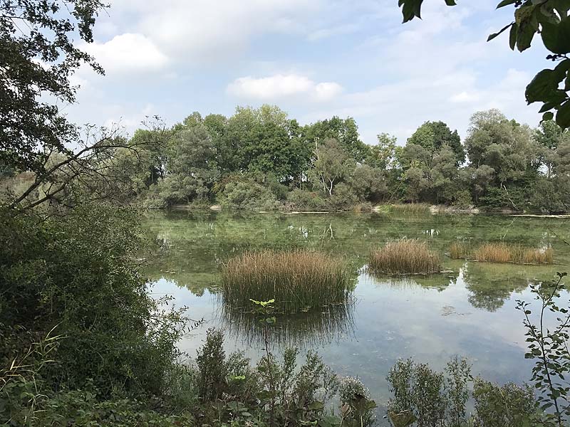 Alter Echinger See - Baggersee am Hart (Eching, Bayern)