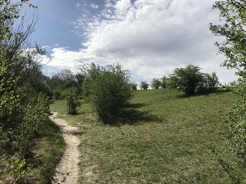 Alter Echinger See - Baggersee am Hart (Eching, Bayern)