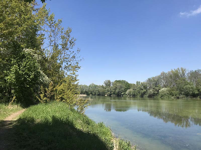 Alter Echinger See - Baggersee am Hart (Eching, Bayern)