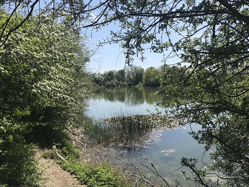 Alter Echinger See - Baggersee am Hart (Eching, Bayern)