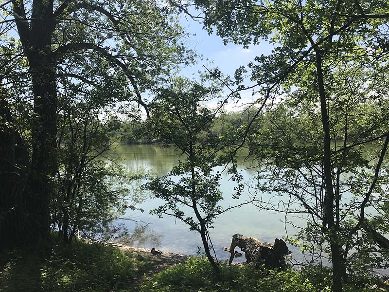 Alter Echinger See - Baggersee am Hart (Eching, Bayern)