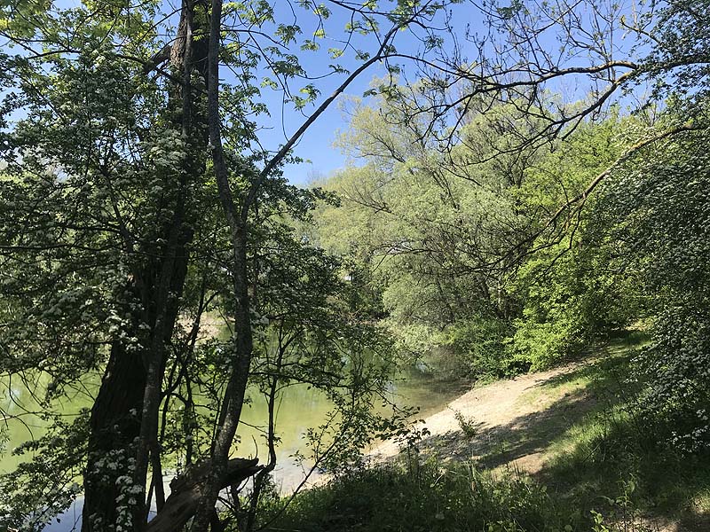 Alter Echinger See - Baggersee am Hart (Eching, Bayern)