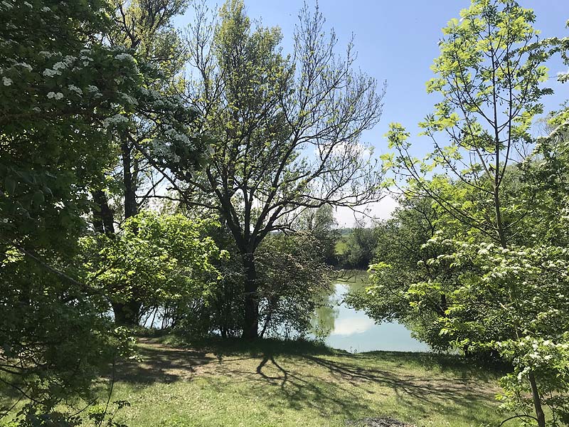 Alter Echinger See - Baggersee am Hart (Eching, Bayern)