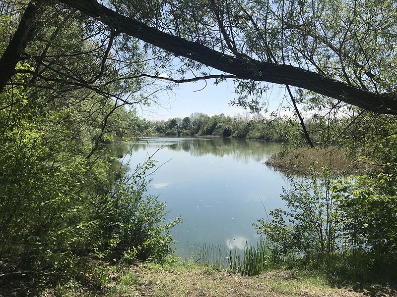 Alter Echinger See - Baggersee am Hart (Eching, Bayern)