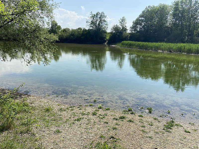 Alter Echinger See - Baggersee am Hart (Eching, Bayern)