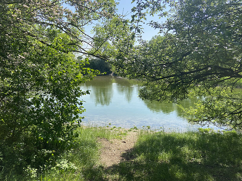 Alter Echinger See - Baggersee am Hart (Eching, Bayern)