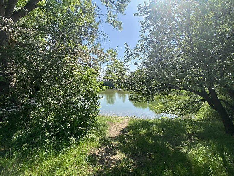 Alter Echinger See - Baggersee am Hart (Eching, Bayern)