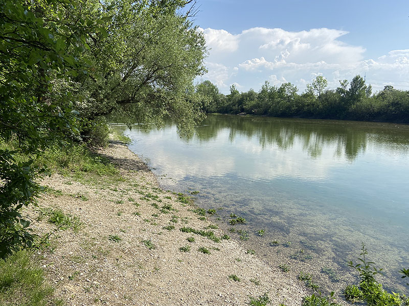 Alter Echinger See - Baggersee am Hart (Eching, Bayern)