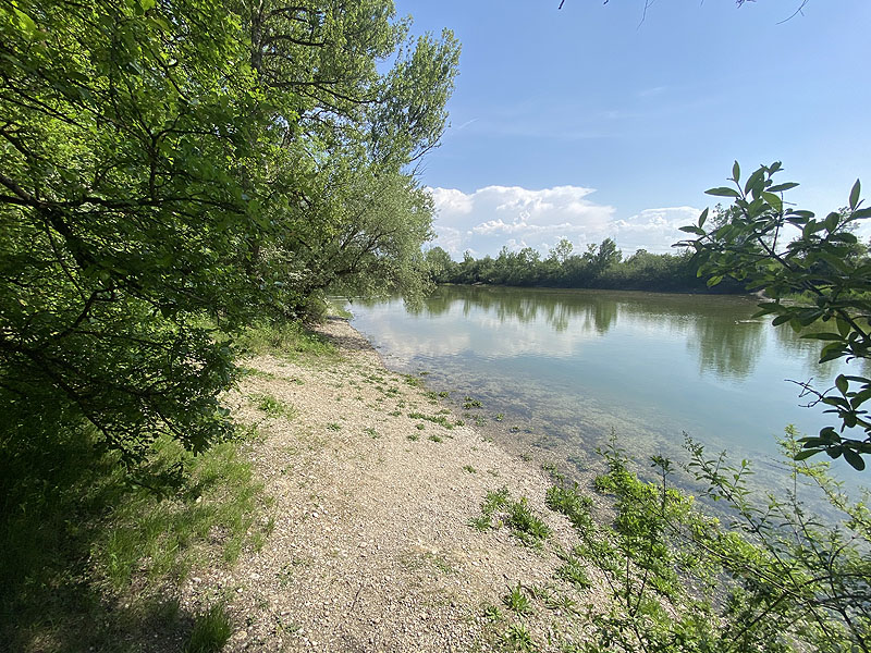 Alter Echinger See - Baggersee am Hart (Eching, Bayern)