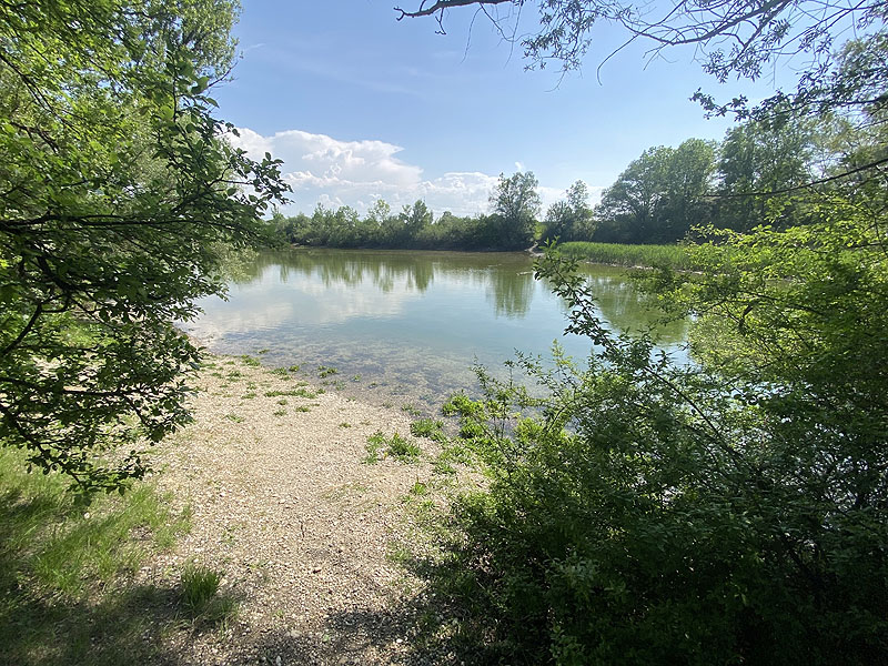 Alter Echinger See - Baggersee am Hart (Eching, Bayern)