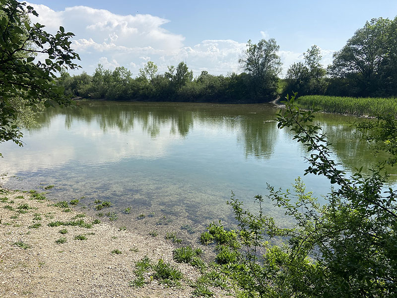 Alter Echinger See - Baggersee am Hart (Eching, Bayern)