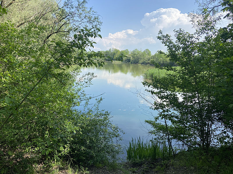 Alter Echinger See - Baggersee am Hart (Eching, Bayern)