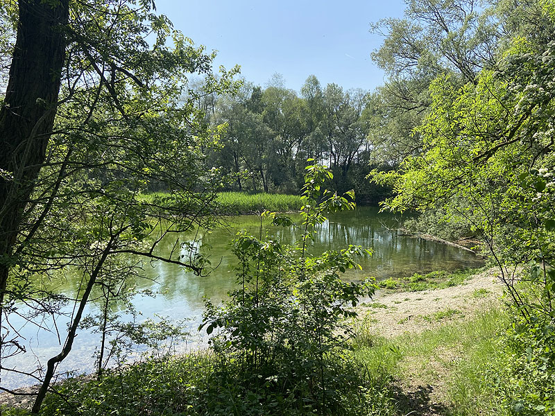 Alter Echinger See - Baggersee am Hart (Eching, Bayern)