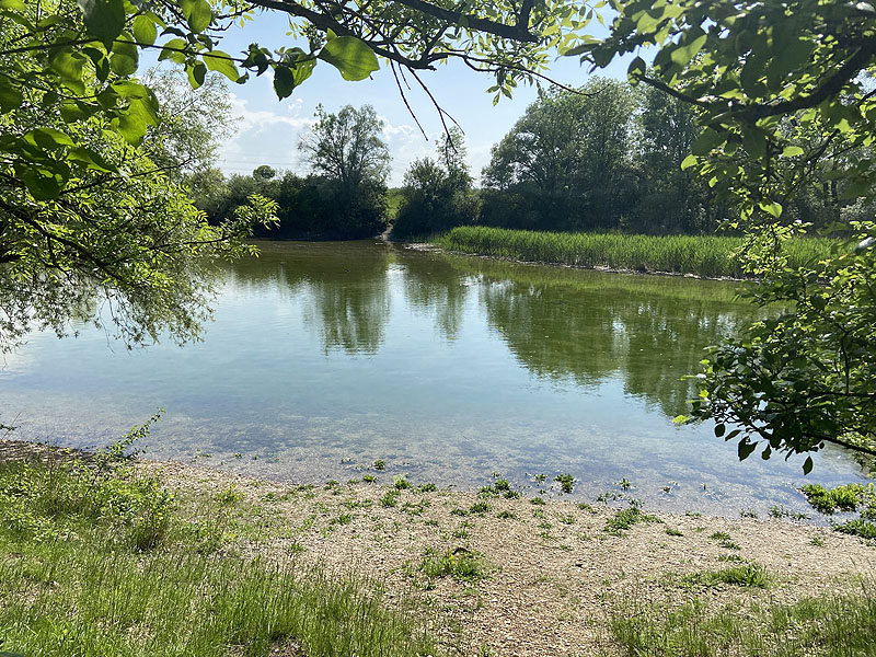 Alter Echinger See - Baggersee am Hart (Eching, Bayern)