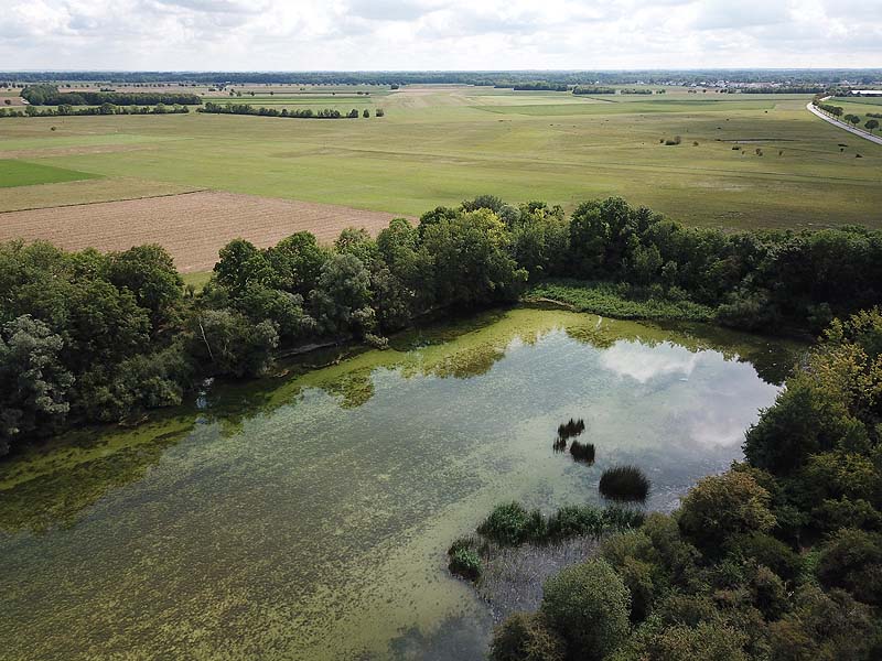 Luftaufnahme vom Alten Echinger See in Eching aus dem Jahr 2019