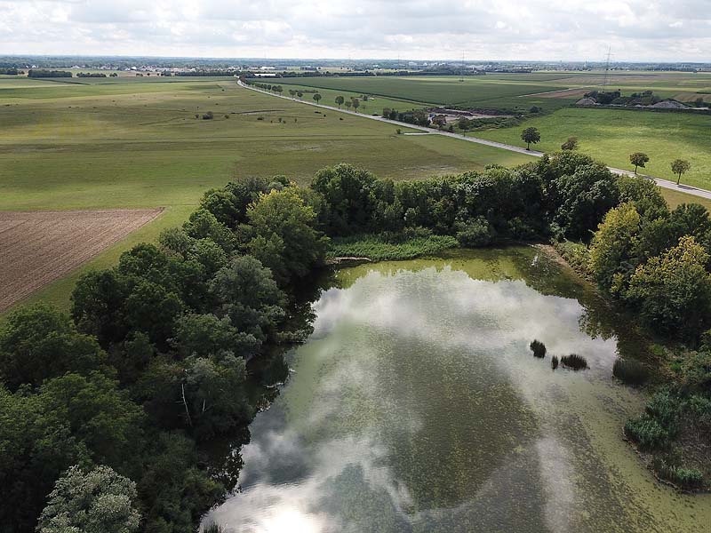 Luftaufnahme vom Alten Echinger See in Eching aus dem Jahr 2019