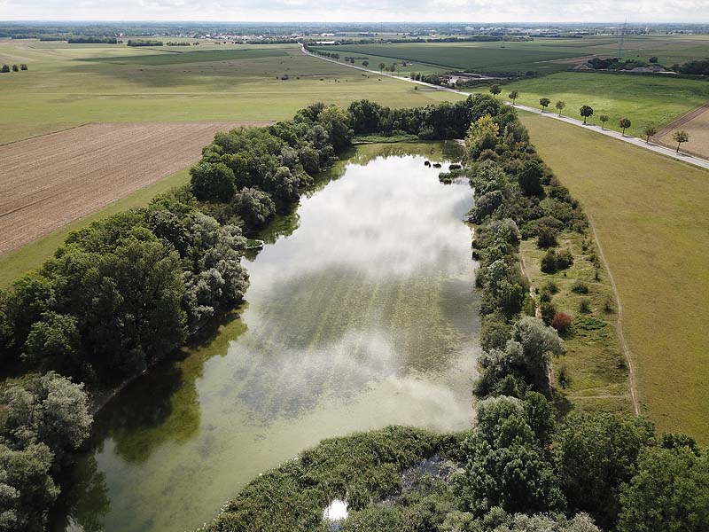 Luftaufnahme vom Alten Echinger See in Eching aus dem Jahr 2019